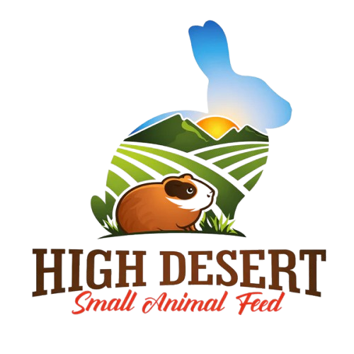 high-removebg-preview